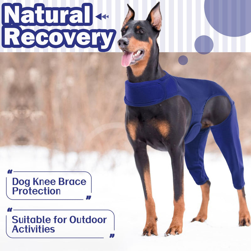 Recovery Suit For Dogs - Leg Surgery Recovery Suit, Lick Sleeve To Prevent Licking Bite, Avoids Wound Infection - XL Blue