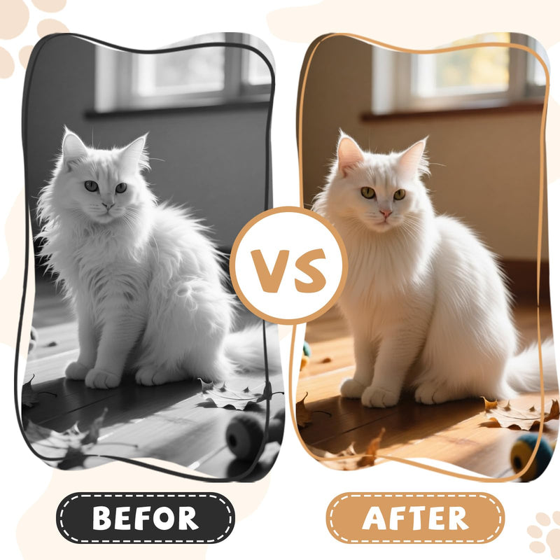 3-in-1 Cat Brushes for indoor Cats, Multifunctional Slicker Brush, Pet Brush for Shedding