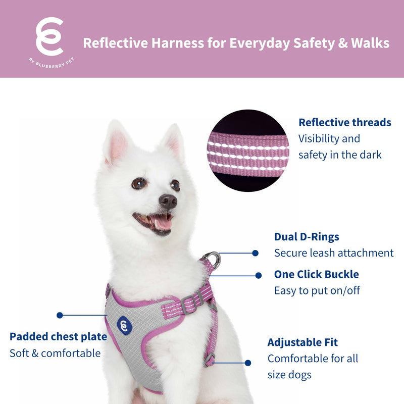 Blueberry Pet Essentials Back to Basics Reflective Dog Harness Vest, Mauve Orchid, Small, Adjustable Harnesses for Dogs Small (Pack of 1) - PawsPlanet Australia
