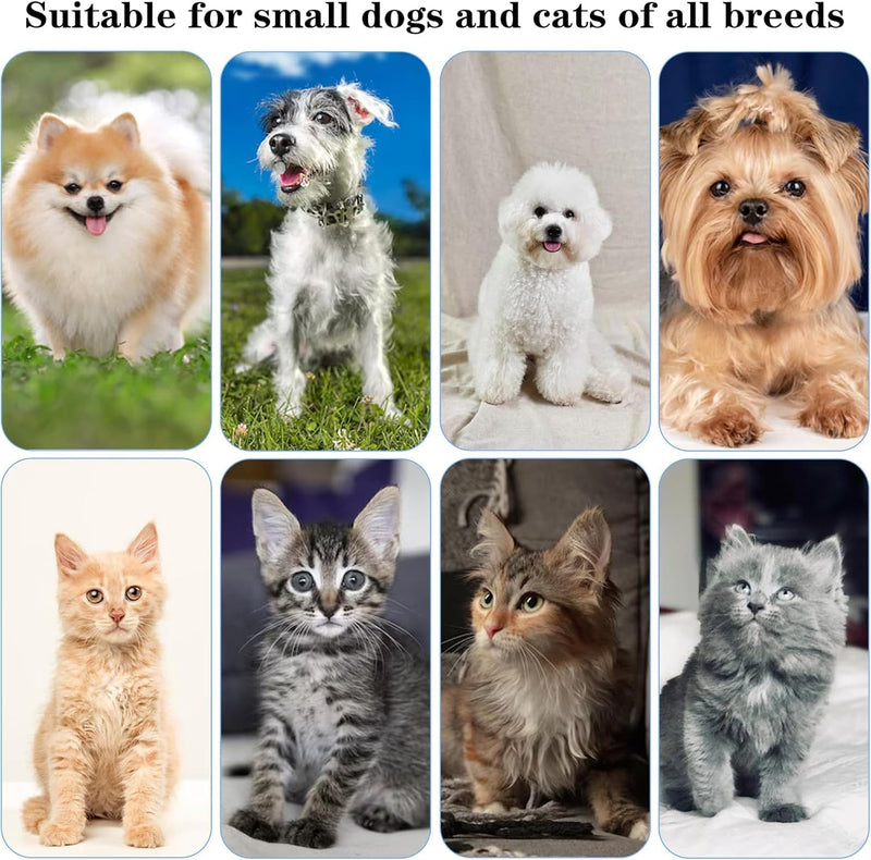2 Pack Small Pet Soft Toothbrush, Mini Dog Cat Toothbrush with Soft Nylon Bristles, Portable Manual Dental Care Brush for Puppies, Kittens and Small Pets