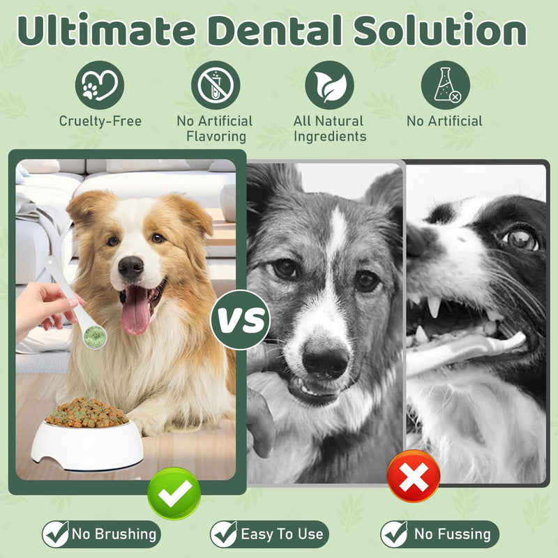 Dog Teeth Cleaning Powder, Dog Dental Powder, Dog Dental Care, Targets Tartar & Bad Breath & Reduces Plaque, Dental Powder for Dog Teeth Cleaning, Green - PawsPlanet Australia