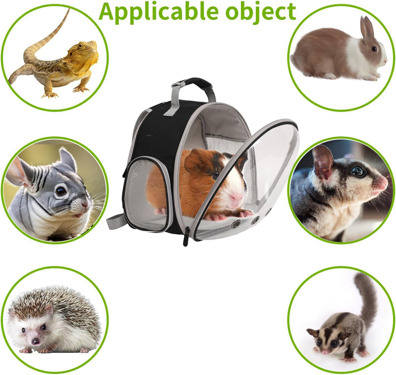 Bearded Dragon Travel Carrier, Space Capsule Clear Bubble Window Small Animal Travel Backpack for Hedgehog Rat Parrot Bird Bearded Dragon, Snake,Airline Approved (Black, Backpack) Black-Mat - PawsPlanet Australia