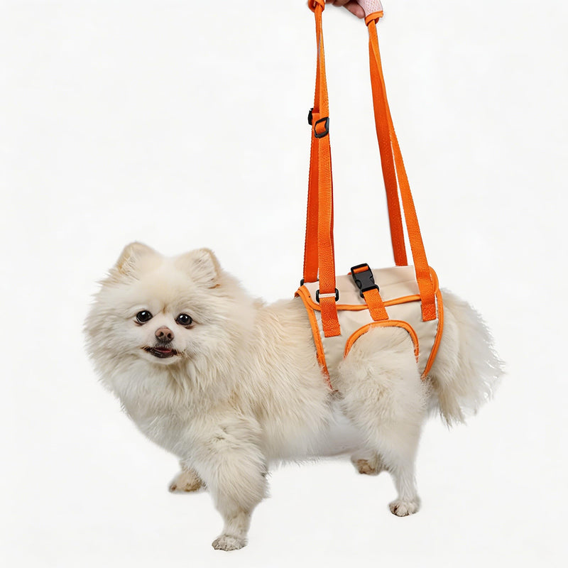 Paralyzed Dog Harness with Hind Leg Support - Small Sized Dog Sling, Adjustable Lift Harness, Hip Dysplasia Brace & ACL Tear Aid for Elderly Dogs - Alternative to Dog Wheelchair L