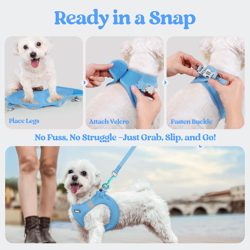 rabbitgoo Dog Harness Small Sized and Leash Set, Step in Soft Light Puppy Vest, Breathable Mesh Pet Harness, Reflective for Safe Easy Walking, Blue S S (Chest: 15.1 - 16.5") - PawsPlanet Australia
