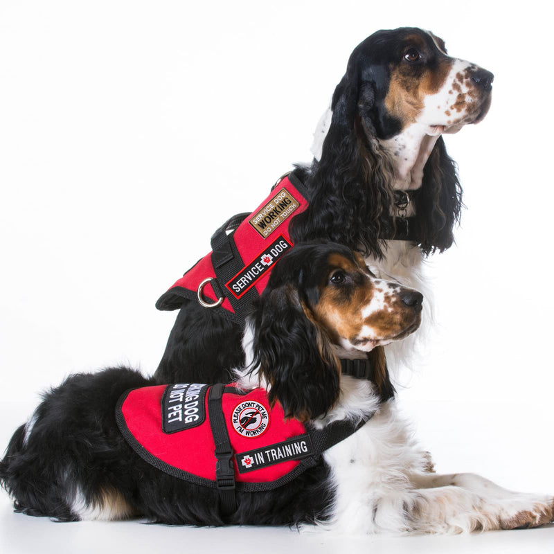 16 Pieces Service Dog Patch Do Not Pet Patch Ask to Pet Patch Removable Service Dog Vest Patches Embroidery Tactical Patches with Hook and Loop American Flag Dog Patches for Dog Harness Vest Collar - PawsPlanet Australia