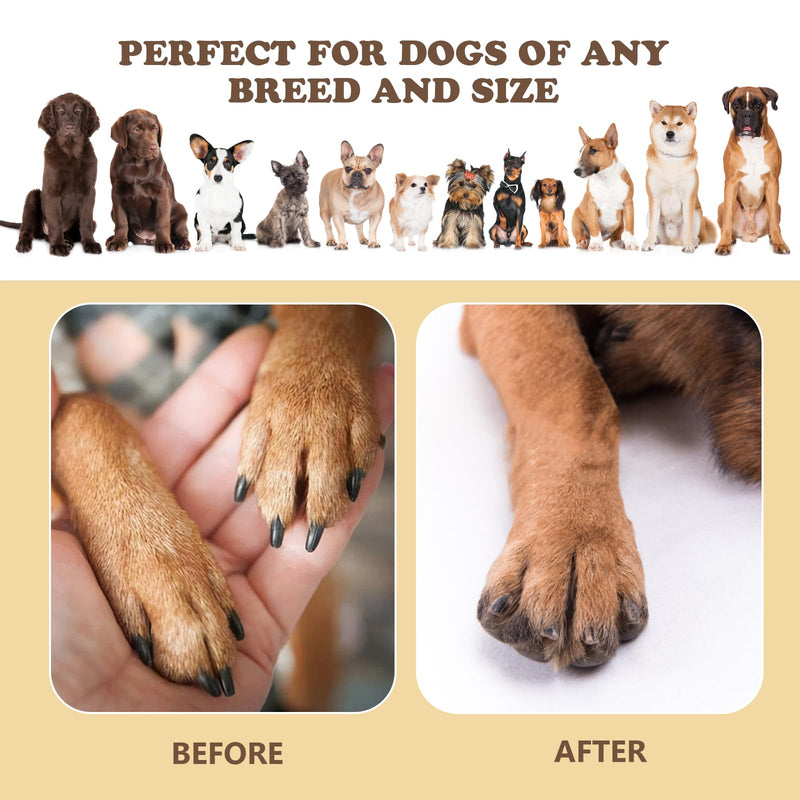 Dog Nail Scratch Board - 3 in 1 Rotatable Round Dog Scratch Pad for Nails with Treat Box, Stress-Free Dog Scratch Pad for Nails, Dog Nail File Toy for Dog Nail, Dog Scratcher for Small and Large Dogs Black - PawsPlanet Australia