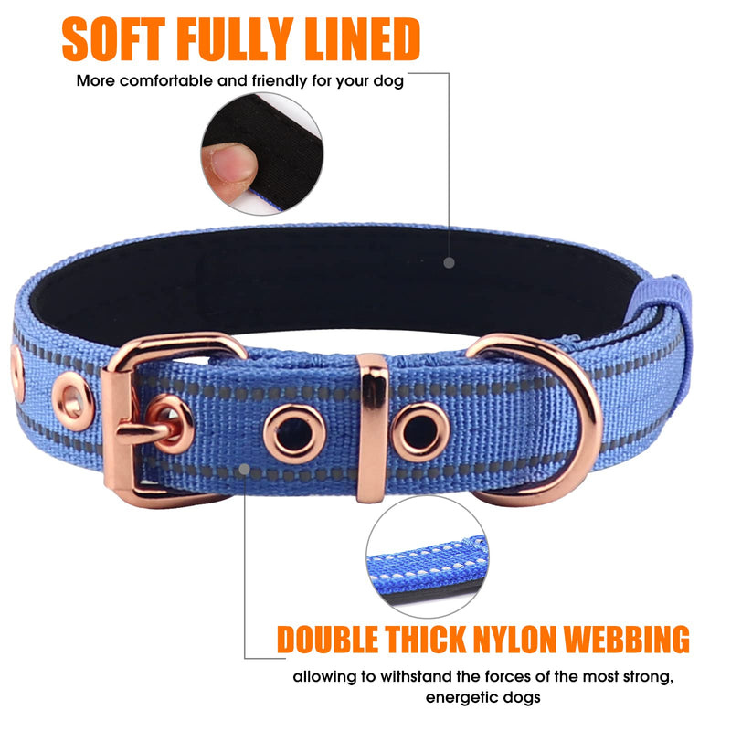 Neoprene Padded Dog Collar, Nylon Collar for Small to Large Dogs, Heavy Duty with Metal Buckle, Reflective(Small, Blue) Small(Pack of 1) - PawsPlanet Australia