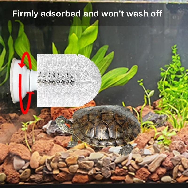 Turtle Brush with Suction Cup, Screw The Upgraded Turtle Scrub Brush Tightly on The Glass, It is Not Easy to Fall Off and Slide, Helping The Turtle Remove Dirt on The Back and Abdomen. - PawsPlanet Australia
