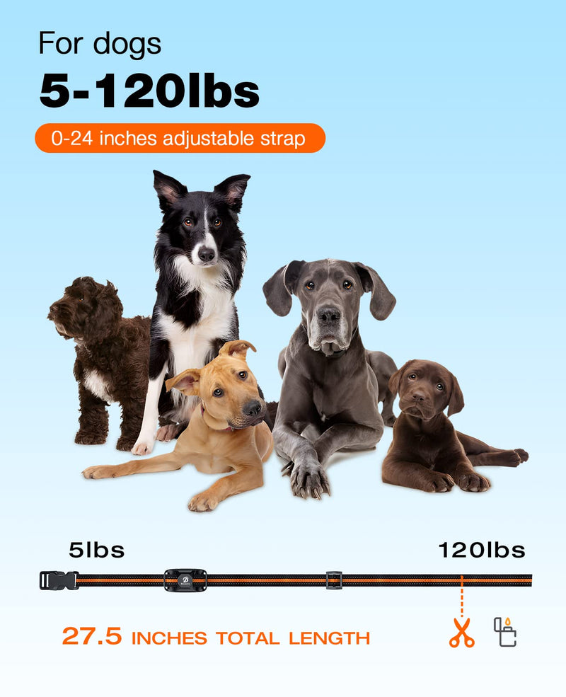 Bousnic Dog Shock Collar - 3300Ft Dog Training Collar with Remote for 5-120lbs Small Medium Large Dogs Rechargeable Waterproof e Collar with Beep (1-8), Vibration(1-16), Safe Shock(1-99) (Orange) Orange - PawsPlanet Australia