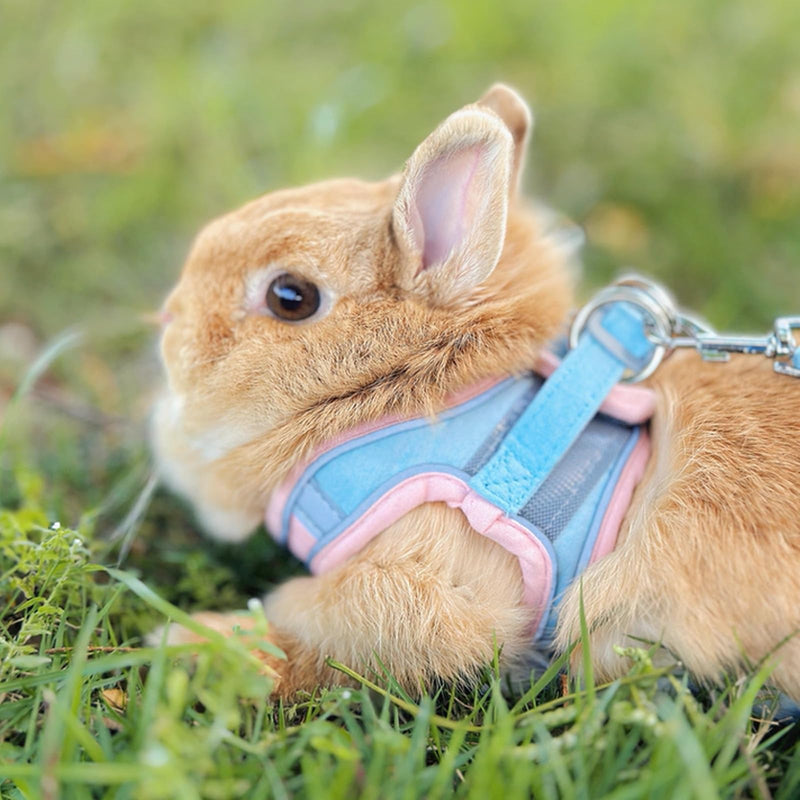 Rabbit Harness and Leash Set Escape Proof, Adjustable Soft Padded Vest, Breathable Mesh Bunny Harness with Reflective Strap, Safe for Small Animals(Orange,M) M Orange - PawsPlanet Australia