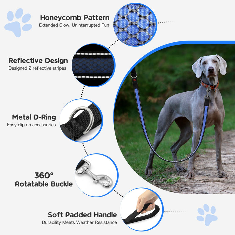 Candofly 4 Ft LED Dog Leash, USB Rechargeable Light Up Dog Leash, 3 Lighting Modes, Glow in The Dark, Nylon Reflective Pet Leashes with Lights for Night Walking (Blue) Blue - PawsPlanet Australia
