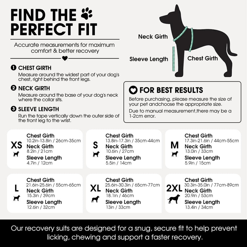 CITÉTOILE Recovery Suit for Dogs Front Body, Post-operative Protective Suit Front Paws, Breathable Medical Clothing for Licking, Elbow and Knee Protection for Wounds and Dressings, Grey, M gray