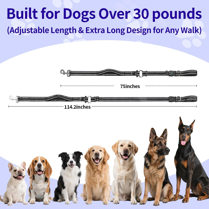 Hands-Free Dog Leash with Adjustable Length 6-9FT + Dual Padded Handles Reflective Safety for Walking, Jogging & Training | Suitable for Medium to Large Dogs & Puppies Black-L L - PawsPlanet Australia