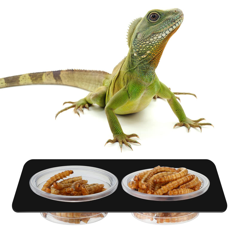 EBOOT 500 Pcs Gecko Food and Water Cups Small Plastic Feeder Cups Reptiles Accessories Reptile Water Bowl Gecko Food Cups Reptile Feeding Bowls for Gecko Lizards Tarantula and Other Small Pets (0.5oz) 0.5oz