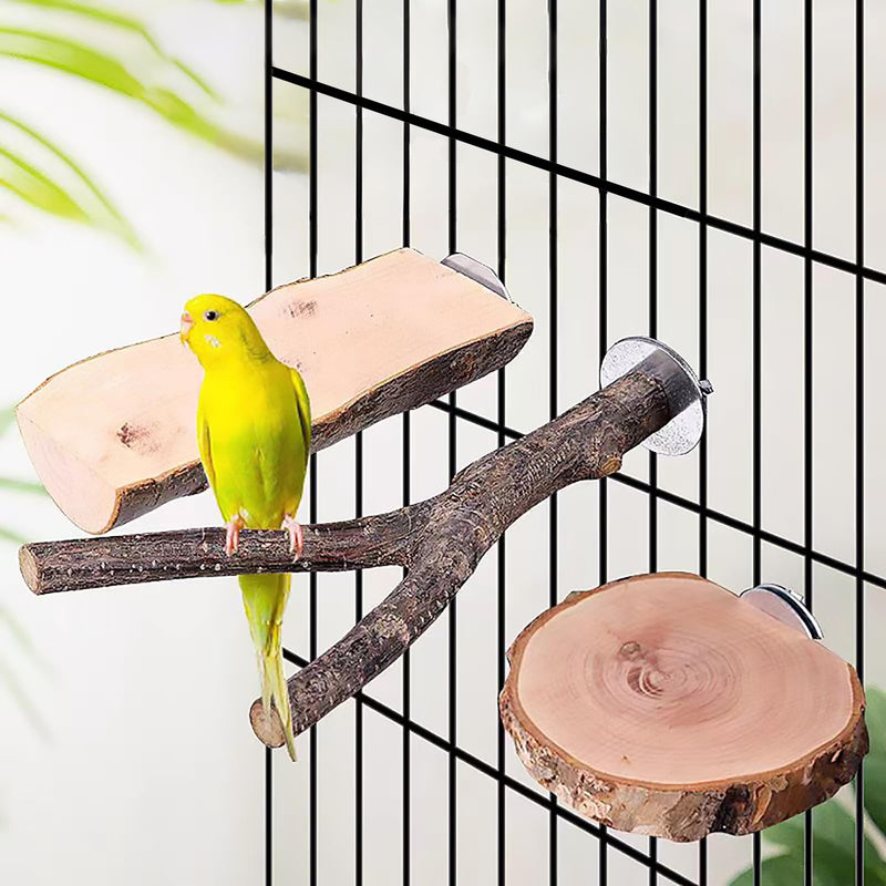 4PCS Bird Perches Parrot Stand Toys Platform Cage Accessories Paw Grinding Fork Branches Chewing Exercise Stick for Parakeets Cockatiels Conures Budgies Macaws Parrotlets Lovebirds Finches - PawsPlanet Australia