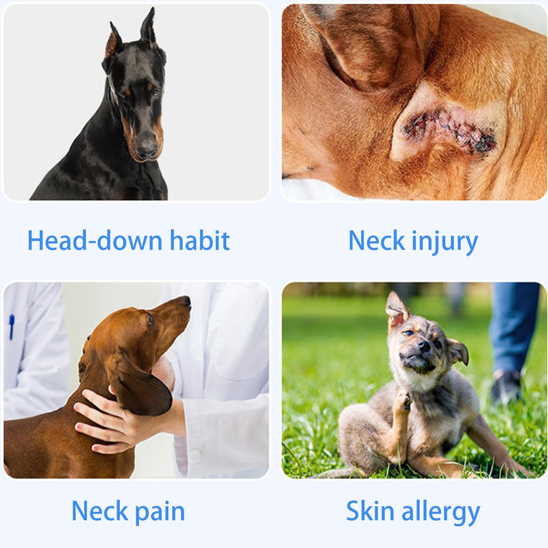 Collar for Dogs, Adjustable Protective Shield, Dog Brace, for Use in Veterinary Medical Clinics, for Puppies, Cats, Medium and blue L
