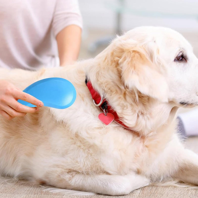 Dog Grooming Brush for Small Dogs & Puppies, Soft Bristle Puppy Brush for Shih Tzu, Yorkie, Teddy & Small Breeds, Gentle Deshedding & Massage, Easy Grip Handle (Blue)