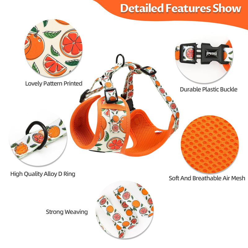 Dog Leash and Harness Set of 6, Soft Lightweight Mesh Step-in Puppy Harness, Adjustable Cute Floral Pattern Puppy Harness for Small Medium Dogs Orange M - PawsPlanet Australia
