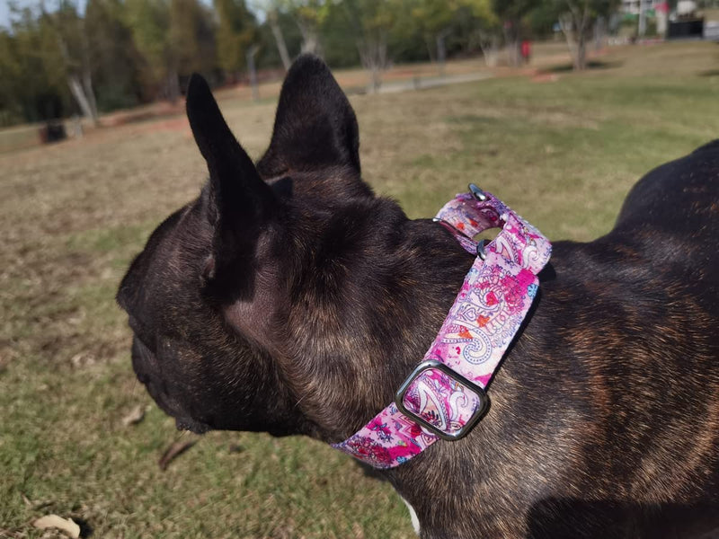 Heavy Duty Nylon Dog Collar, Adjustable Martingale Dog Collar for Walking Training Boy and Girl Dogs Medium Large Dogs (M:36-45CM, Pink) M:36-45CM - PawsPlanet Australia