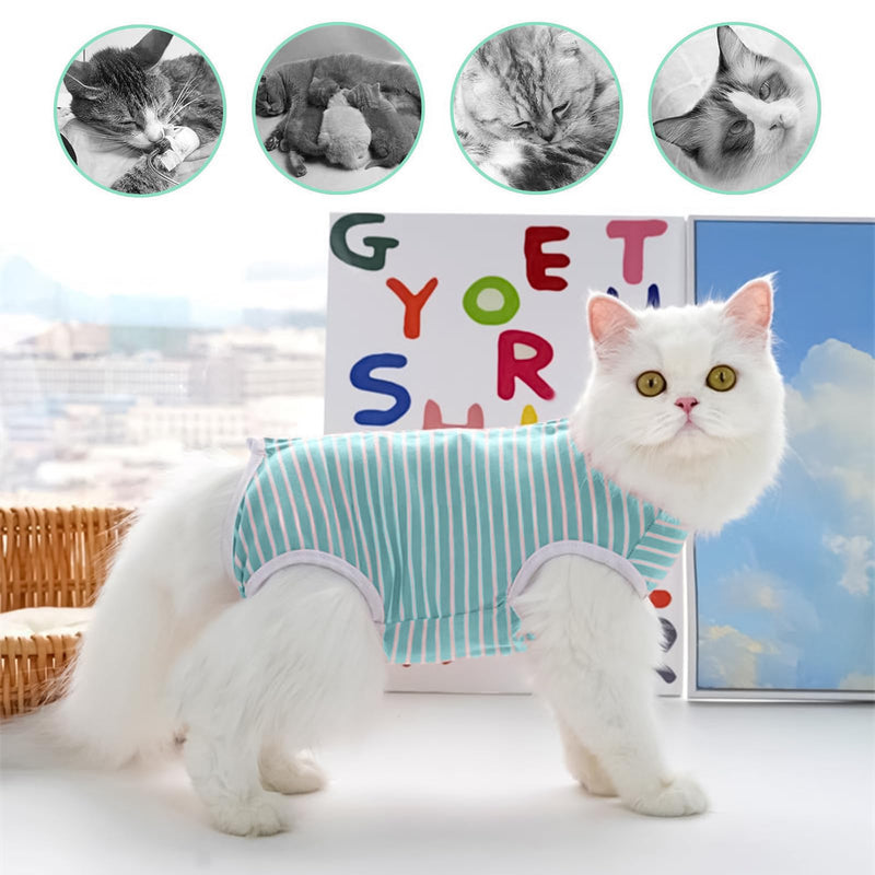 Cat Bodysuit After Surgery, Professional Recovery Suit for Cats After Surgery, Post-Operative Cat Clothes for Abdominal Wounds, Anti-Leak Suit After Castration, Alternative to E-Collar (Green, XS) Green
