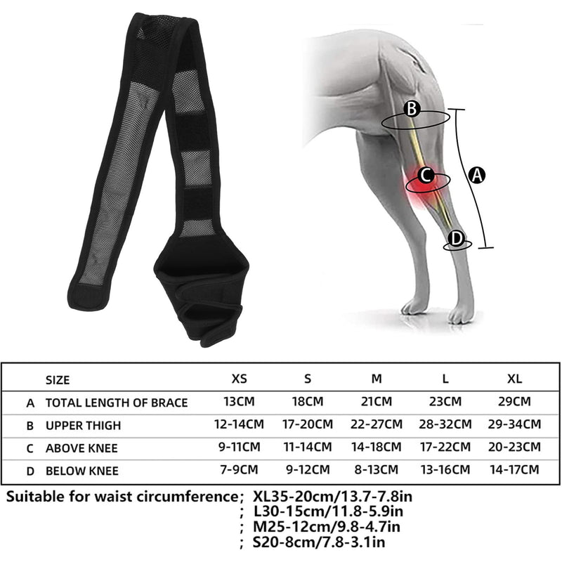 Dog Elbow Brace Protector Pads, Elbow Support Compression Wrap Knee Brace for Dogs Canine Elbow and Shoulder Support, Dysplasia, Arthritis, Elbow Calluses, Pressure Sores, Shoulder Dislocation(M) - PawsPlanet Australia