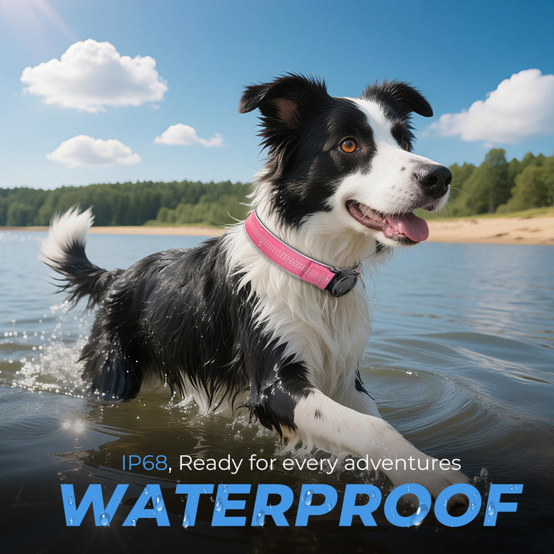 Waterproof AirTag Dog Collar - Reflective Comfortable Dog Collars with Air Tag Holder - GPS Dog Tracker Collar with Quick Easy Install - for Large Medium Small Dogs(Pink, M) M(14.7"-19") PINK - PawsPlanet Australia