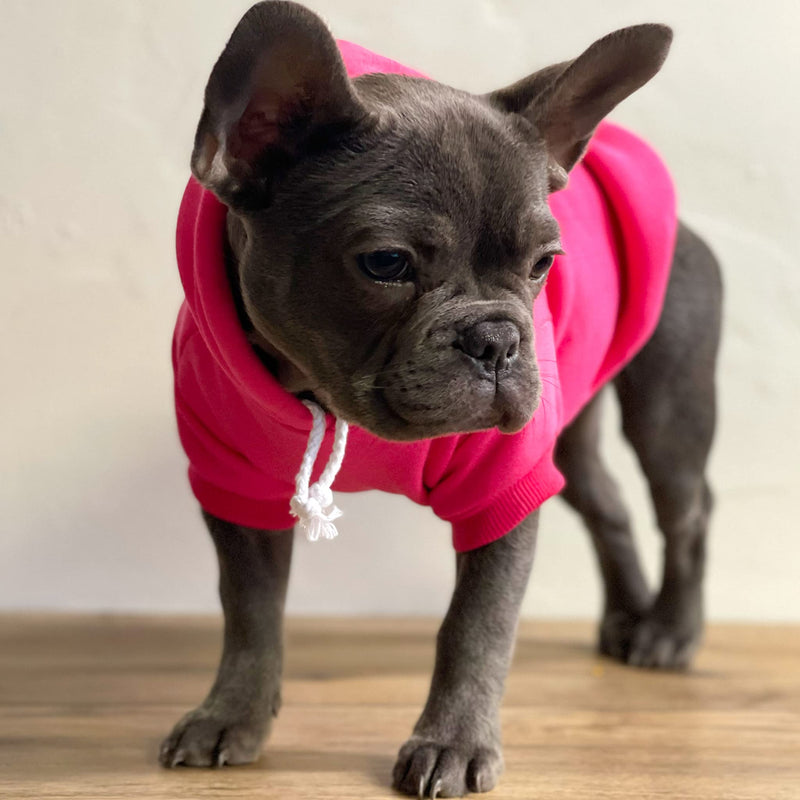 Soon to Be Big Sister Dog Hoodie Fleece Lined Pullover Sweatshirt with Leash Hole (Baby Pink, Medium 56) Baby Pink Medium (6-12lbs) - PawsPlanet Australia