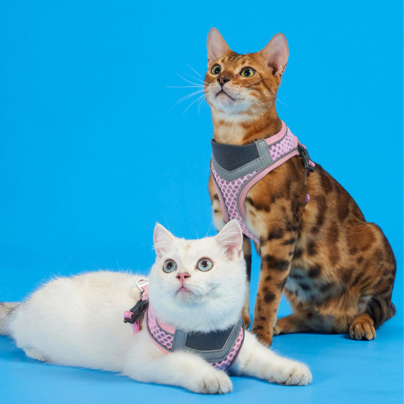Cat Harness and Leash Set for Comfortable Outdoor Walking, Escape Proof, Adjustable Soft Kitten Vest Harness with Reflective Strip for Cats, Small Dogs (Pink, S) Pink - PawsPlanet Australia