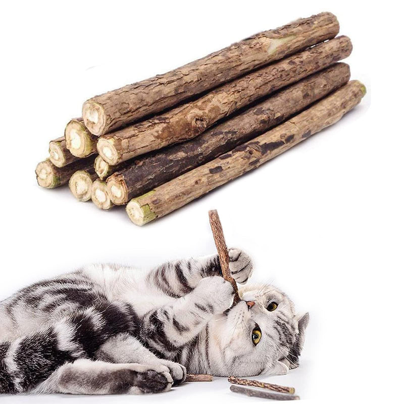 Cat Catnip Sticks Natural Matatabi Silvervine Sticks - Cleaning Teeth Molar Tools Kitten Cat Chew Toy Natural Catnip Cat Toy (10 PCS) 10 PCS