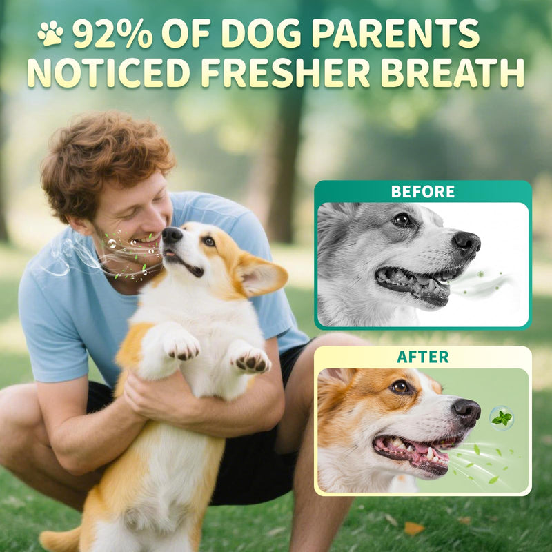 Dog Dental Powder – Teeth Cleaning Powder with 6B CFU Probiotics, Enzymes & Antioxidants, Plaque & Tartar Off, Fresh Breath Support, 75 Days, Mint Chicken Flavor, No Brushing Oral Care Mint-Chicken 75 Servings - PawsPlanet Australia