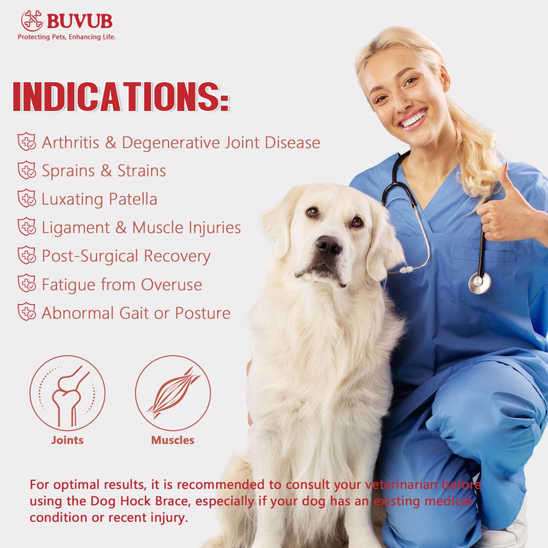 Dog Hock Brace Rear Leg Built-in Metal Spring Strips Support for Sprains, Arthritis, Ligament Injuries, Post-Op Recovery with Adjustable Compression Straps (M,Pair) Pair Pack Medium