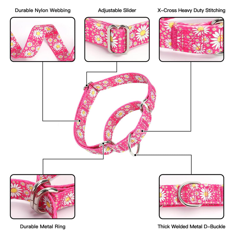 Martingale Collar for Dogs, Adjustable Soft Nylon Dog Collars with Design Cute Daisy Design Patterns for Small Medium Large Dog (Purple, Medium) Purple - PawsPlanet Australia