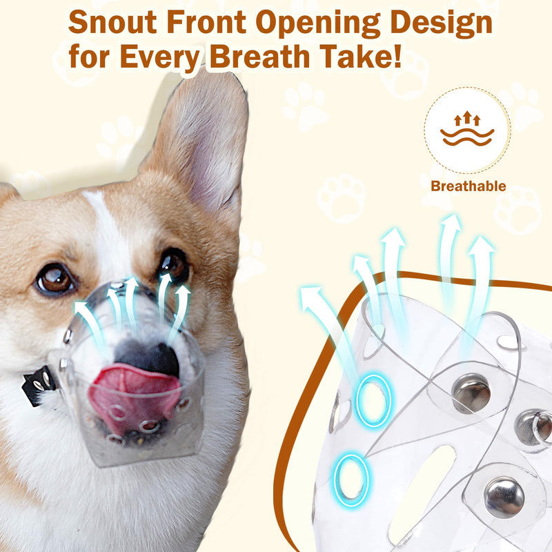 Mayerzon Dog Muzzle, Basket Muzzle for Small Medium Dogs Poodle Dachshund Corgi, Clear Puppy Mouth Cover for Grooming Vet Visits to Prevent Biting Chewing Scavenging, Allow Panting Drinking XS [Snout Cir: 5-6"] - PawsPlanet Australia