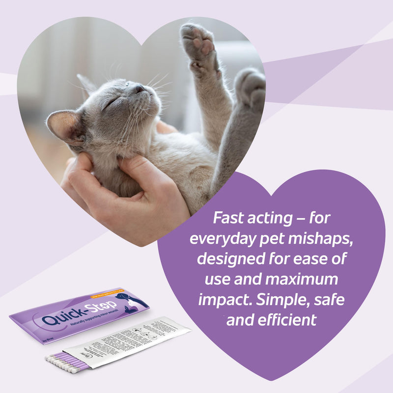 Silver Nitrate 75% Applicator (Pack of 10 - Large) – Flexible Single-Use Nail, Paw & Minor Wound Care for Pets –Tool To Use At Home for Grooming & Small Wounds