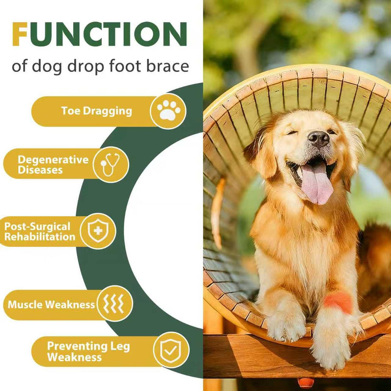 Dog Front Leg Support Brace for Foot Drop, Canine Knuckling Prevention, Toe Dragging Assistance L