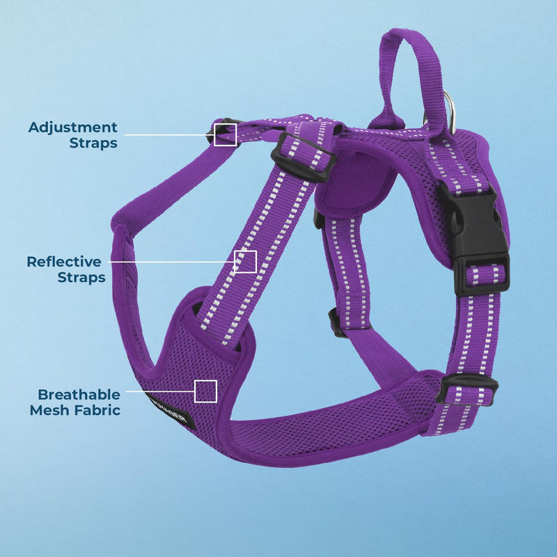 Air Frontier Mesh Dog Harness with Steel Leash D-Ring, Reflective Stitching, and Lightweight Breathable No-Pull Design, Adjustable Neck and Chest Straps for Small to Large Breeds - PPW, XS XS (Chest: 13 - 16") Harness (Purple Mesh) - PawsPlanet Australia