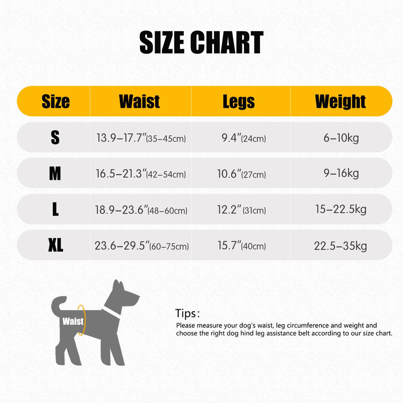 Dog Lift Harness for Back Legs - Adjustable Support Sling for Injured, Disabled & Elderly Dogs, Soft Padded Leg Brace Aid for S/M/L Dogs, Walking & Rehab Support (Grey, L) Grey