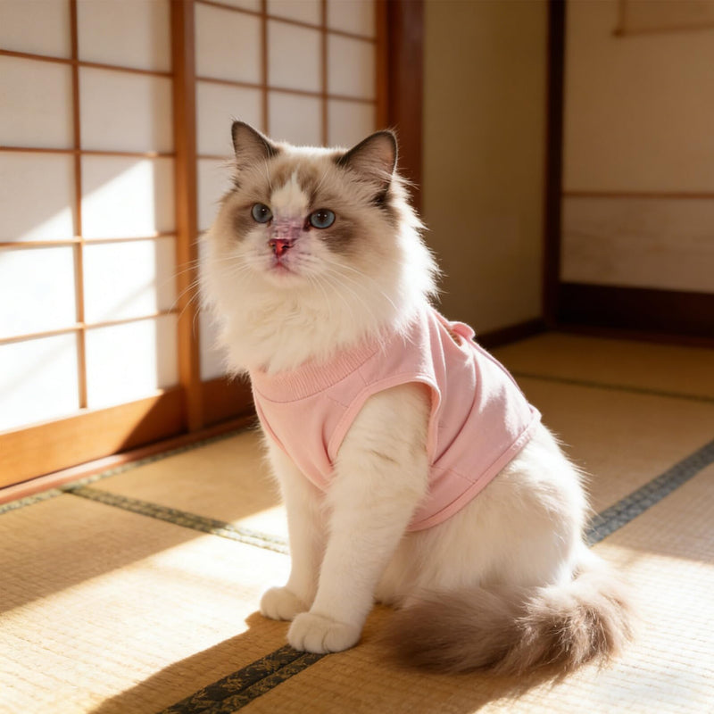 VICASKY Recovery Suit Cat Surgical Protective Body Breathable Soft Adjustable Cat Body after Spaying for Female Indoor Kittens Surgical Clothing Wound Protection after Surgery