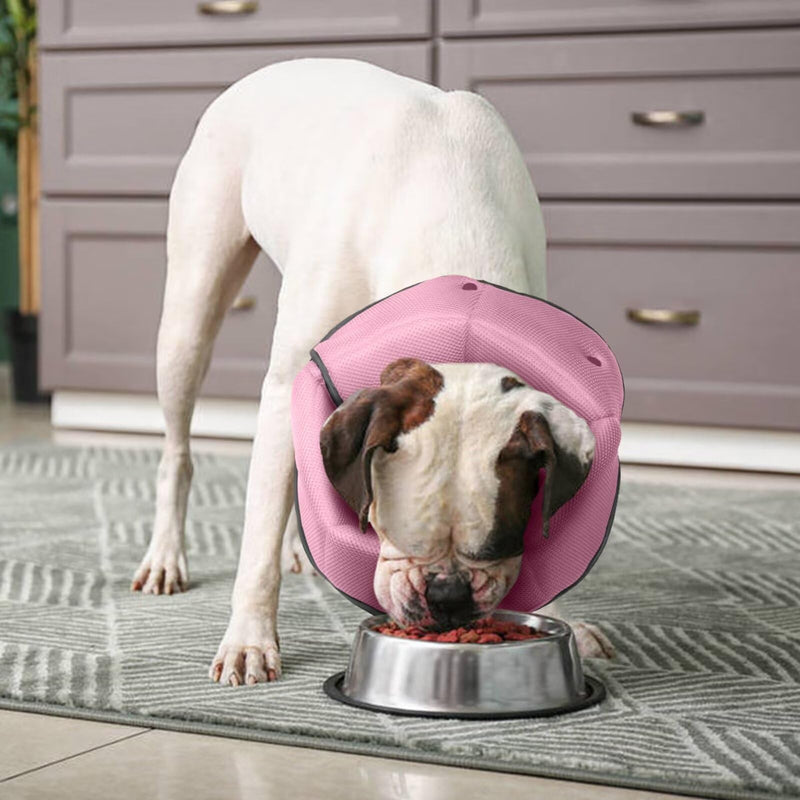 Dog Cone for Dogs After Surgery,Adjustable Protective Dog Recovery Collars & Cones for Large Medium Small Dogs Cats,Comfy Soft Dog Cones Prevent Pets from Touching Stitches Rashes,Wounds,Pink,M M(Neck Girth:11.02"-14.17") Pink - PawsPlanet Australia