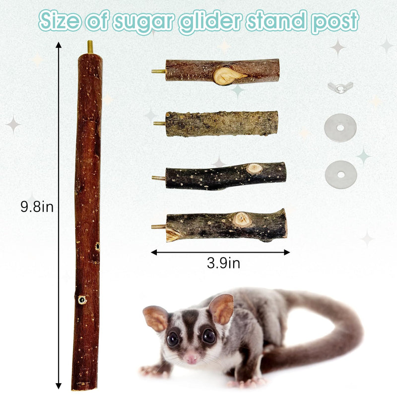 BNOSDM Sugar Glider Toy Natural Fruitwood Perch Stand Squirrel Hanging Wooden Climbing Pole Hamster Paw Grinding Perch Small Animal Cage Accessories for Chinchillas Rats Gerbil Natural Applewood - PawsPlanet Australia