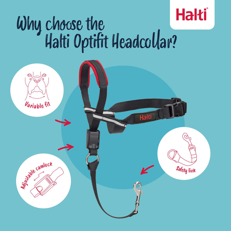 Halti Optifit Headcollar - Dog Head Harness to Stop Pulling on the Lead, Easy to Use, Adjustable & Reflective Head Collar for Dogs, Professional Anti-Pull Training Aid (Size Medium)