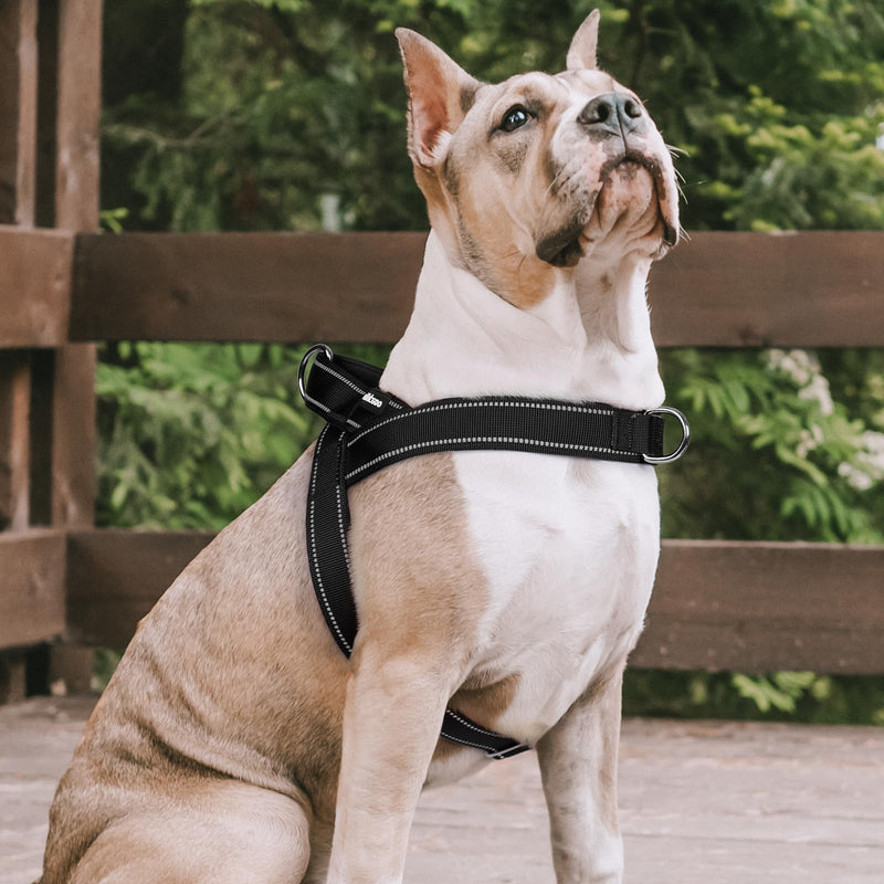 rabbitgoo Dog Harness No Pull，Quick fit for Large Dogs with Soft Padded Handle, Chest Adjustable Reflective Pet Vest, No Choke Escape Proof for Walking Training, Black L