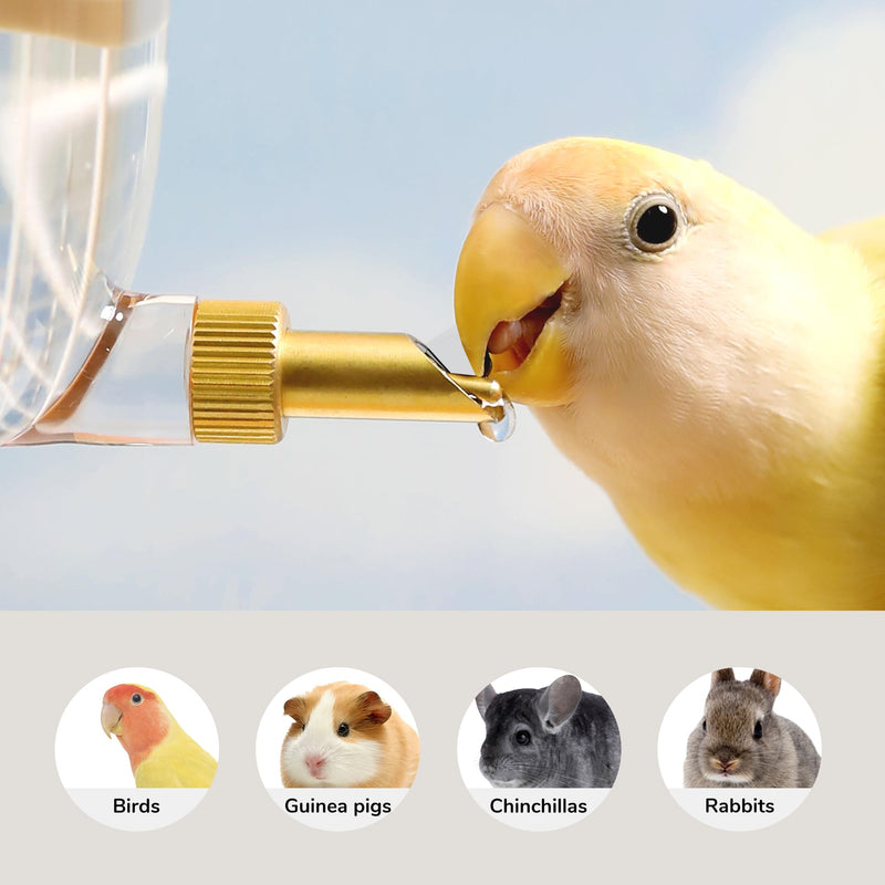 Leak-Proof & Chew-Proof Hanging Water Dispenser for Birds, Chinchillas, Guinea Pigs, Ferrets, Rats, Rabbits, Bunnies, Parrots, and Other Small Animals - Beige, 12oz - PawsPlanet Australia