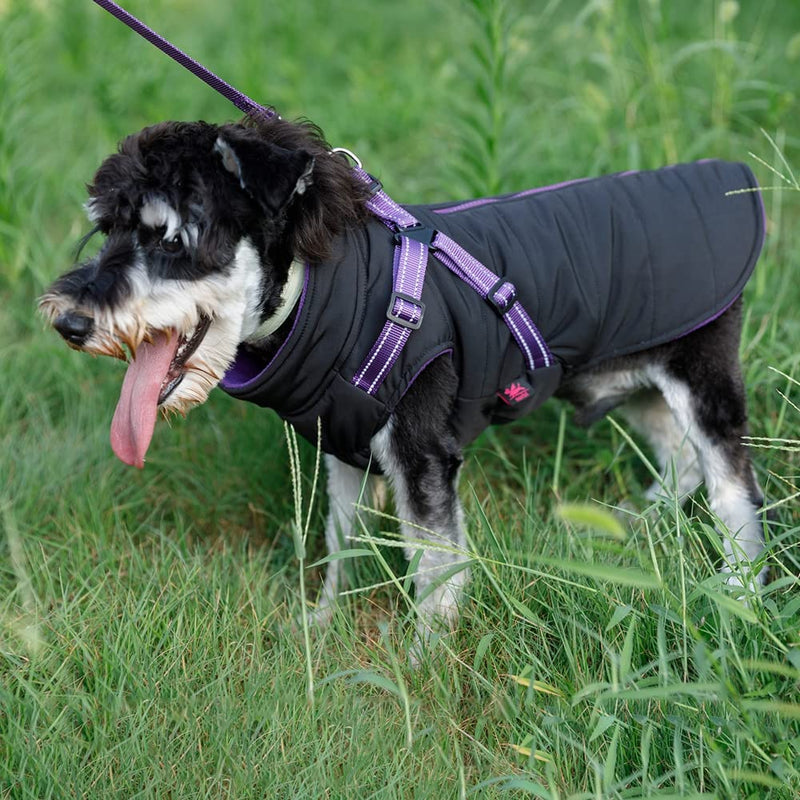 Norbi Pet Warm Jacket Small Dog Vest Harness Wih Leash Puppy Winter 2 in 1 Outfit Cold Weather Coat XL Black - PawsPlanet Australia
