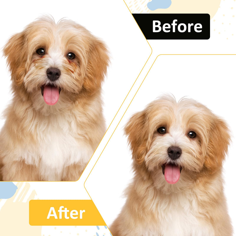 3PCS Pet Grooming Comb, Double-Head Plastic Grooming Comb, Soft Bristles Eye Cleaning Brush for Dogs, Puppies, and Cats, Facial Brush for Gently Removing Tear Stains, Mucus, Crusts, Boogers and Fleas - PawsPlanet Australia
