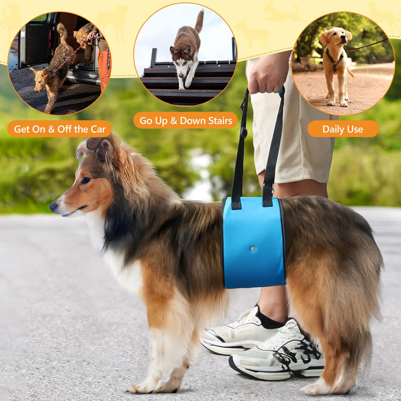 Dog Lift Harness Dog Sling for Large Dogs, Portable Dog Carrier Sling for Back Legs, Ajustable Hip Support Harness for Weak Rear Leg, Assist Senior Disabled Joint Injuried and After ACL Medium Blue - PawsPlanet Australia