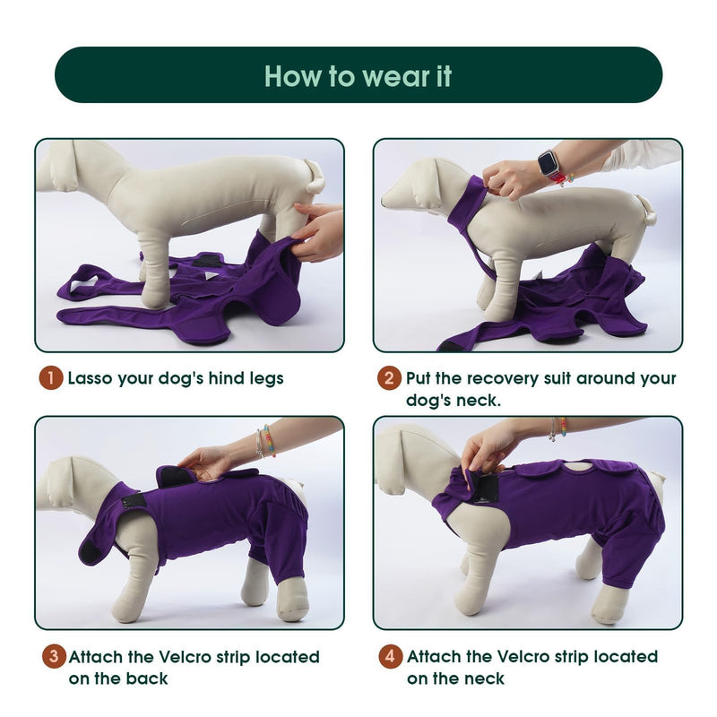 Kuoser Dog Recovery Suit for Back Legs, Thigh Wound Protective Sleeve for Dogs, Dog Recovery Sleeve for Female Male Dogs, Dog Onesie After Surgery Pet Surgical Suit for Spay Neuter, Purple XL XL (Prioritize CHEST GIRTH:27.6-32.3'') - PawsPlanet Australia