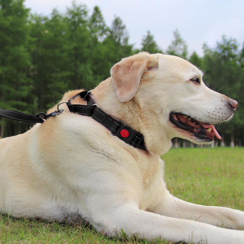 Joytale Martingale Collar for Dogs, Reflective Heavy Duty Dog Collar for Safety, Quick Release Buckle, Adjustable Nylon Collars for Puppy Dogs Walking Training, Black,XS XS