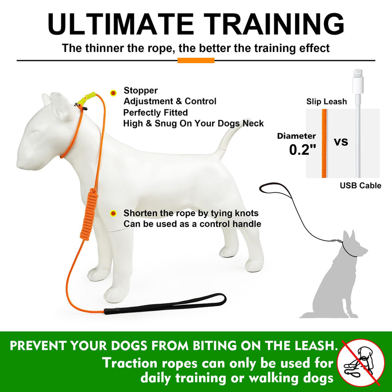 ?BeauGo| Slip Lead Dog Leash|Dog Training Leash,No Pull Training Lead,2-in-1Dog Lead & Collar,Strong Heavy Duty Braided,Professional Trainer Rope for Small Medium Large Dogs.Slip Leads for Dogs 5 FT Training(5ft*1.5M Long? ORANGE - PawsPlanet Australia