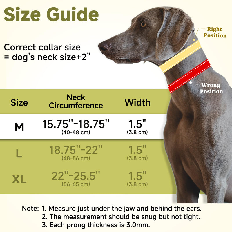 Mayerzon Martingale No Pull Collar for Large Medium Dogs, Patented Dog Walking Training Collar for Pulling, 1.5'' Wide Alloy Buckle, Neoprene Padded, Adjustable, Reflective, Easy to Use(M, Black) Medium,3mm,15.75''-18.75''Neck - PawsPlanet Australia